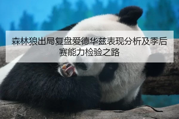 森林狼出局复盘爱德华兹表现分析及季后赛能力检验之路