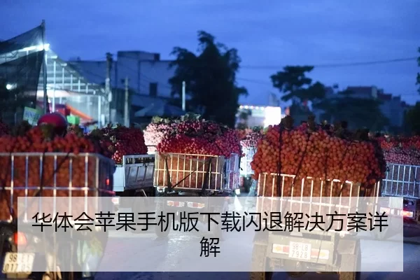 华体会苹果手机版下载闪退解决方案详解