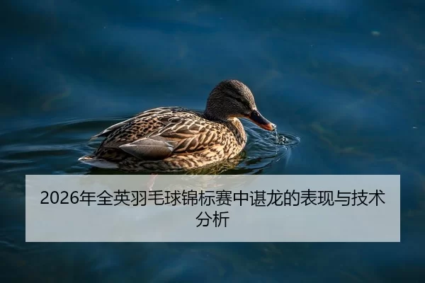 nian-quan-ying-yu-mao-qiu-jin-biao-sai-zhong-chen-long-de-biao-xian-yu-ji-shu-fen-xi-2-243.jpg