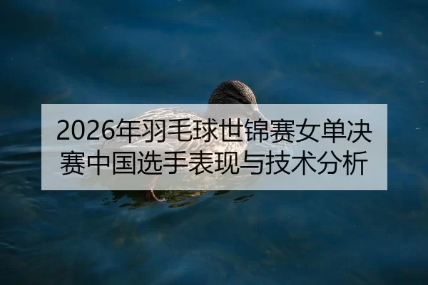 2026年羽毛球世锦赛女单决赛中国选手表现与技术分析