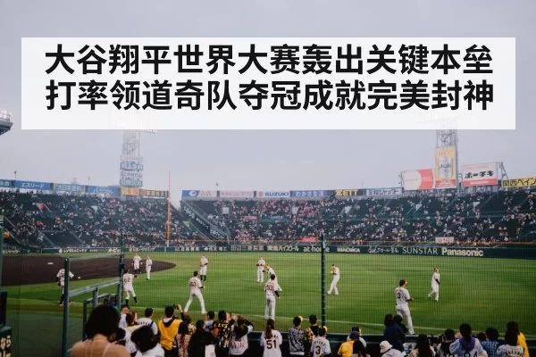 Baseball fans celebrating