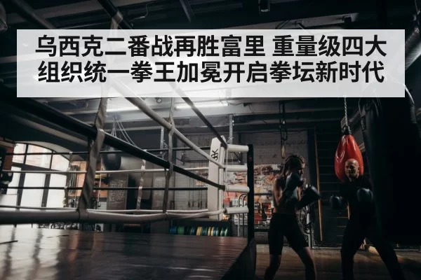 boxer training gym