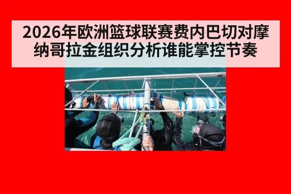 2026年欧洲篮球联赛费内巴切对摩纳哥拉金组织分析谁能掌控节奏